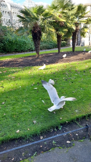St. Stephen's Green