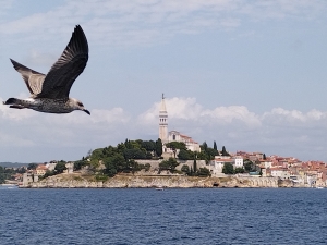Rovinj